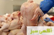 پخش مرغ وگوشت شرکت سپنتا پروتئین البرز 